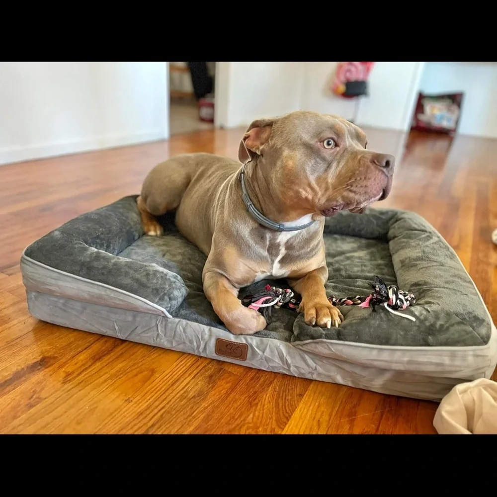 Bedsure cozy gray