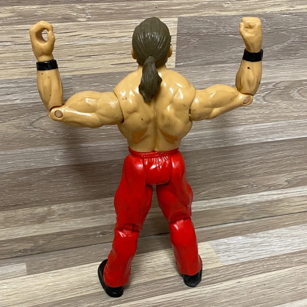 WWE action figure