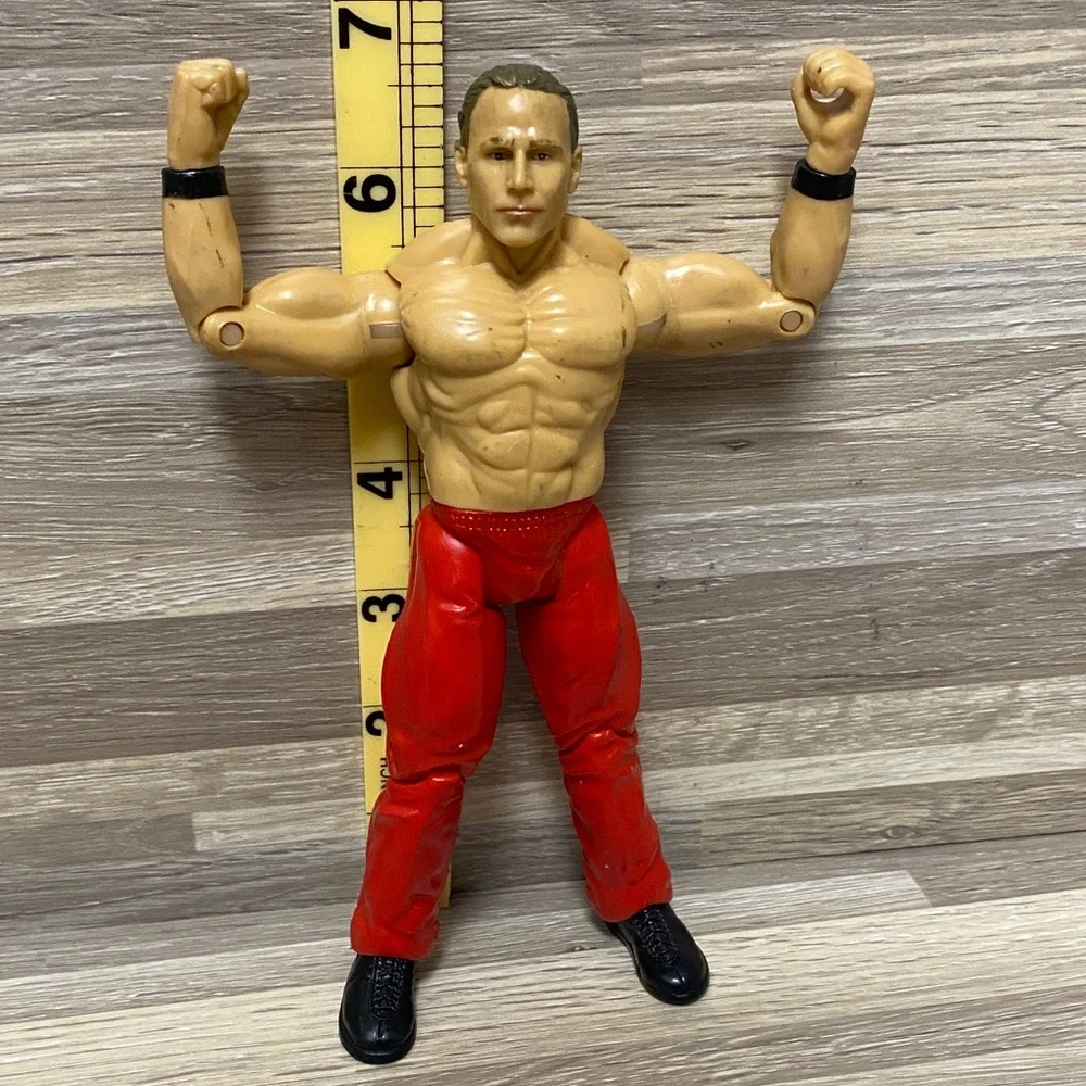 WWE action figure