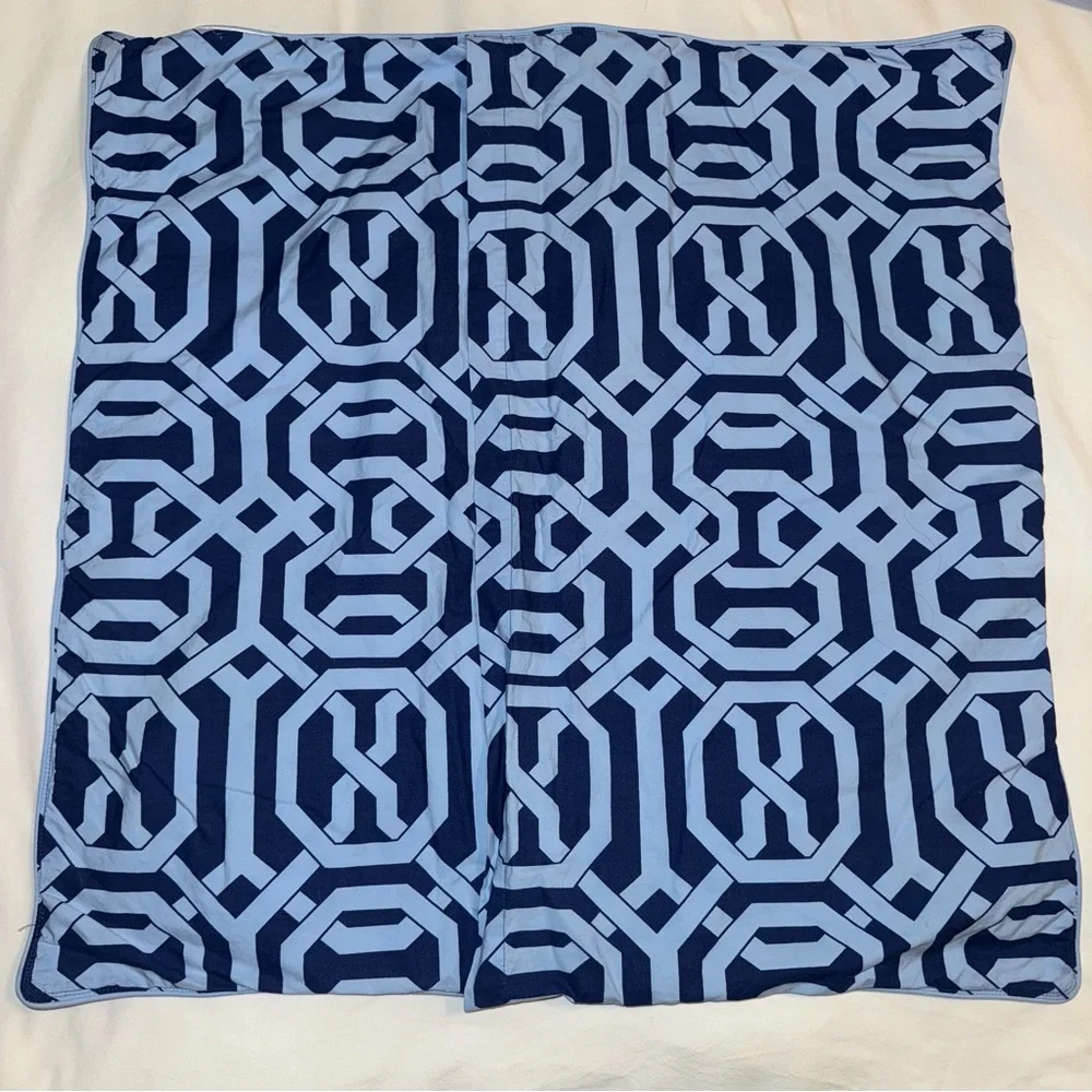 Pottery Barn Terri Trellis euro pillow sham