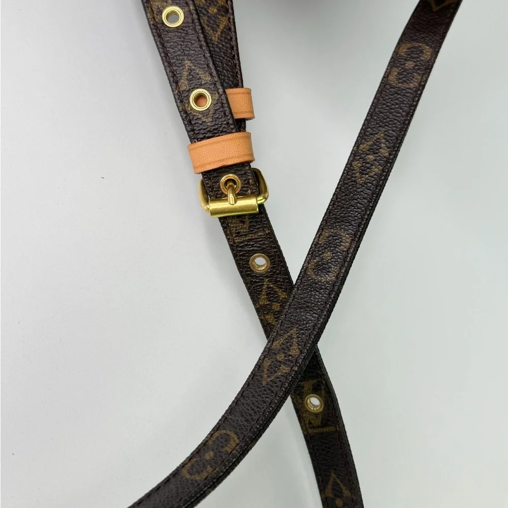 Authentic Louis Vuitton Monogram Crossbody Bag Vintage Amazone Everyday Bag