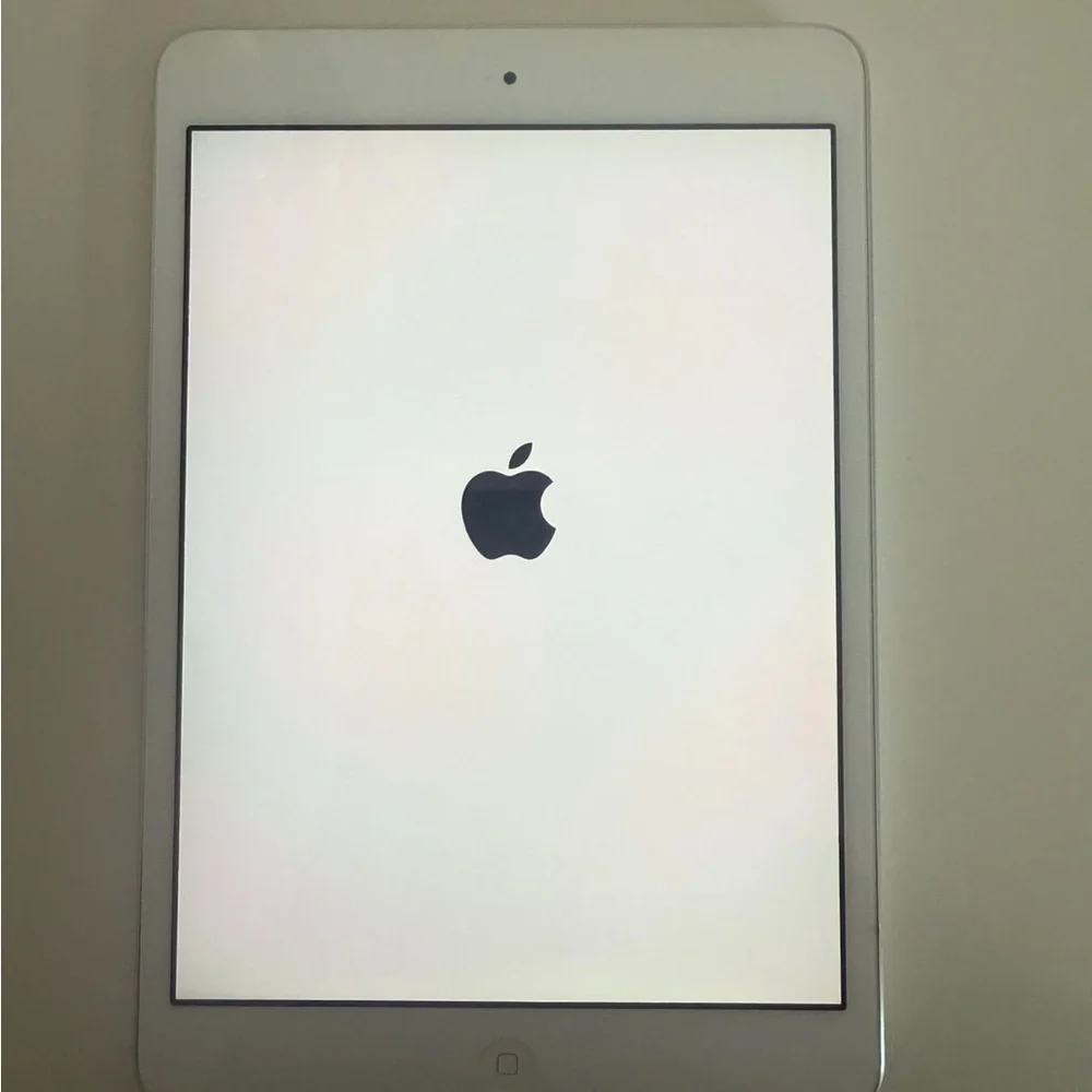 Apple iPad mini