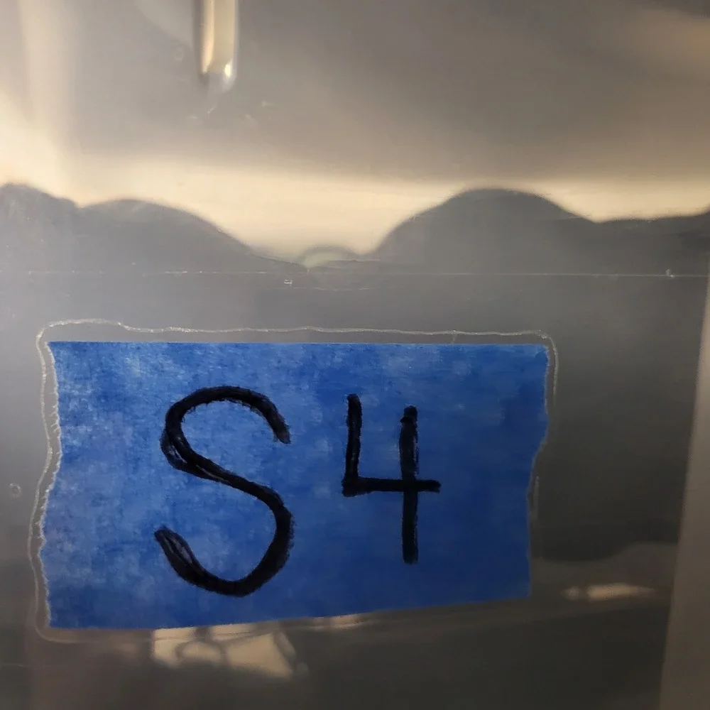 Sorel ai models