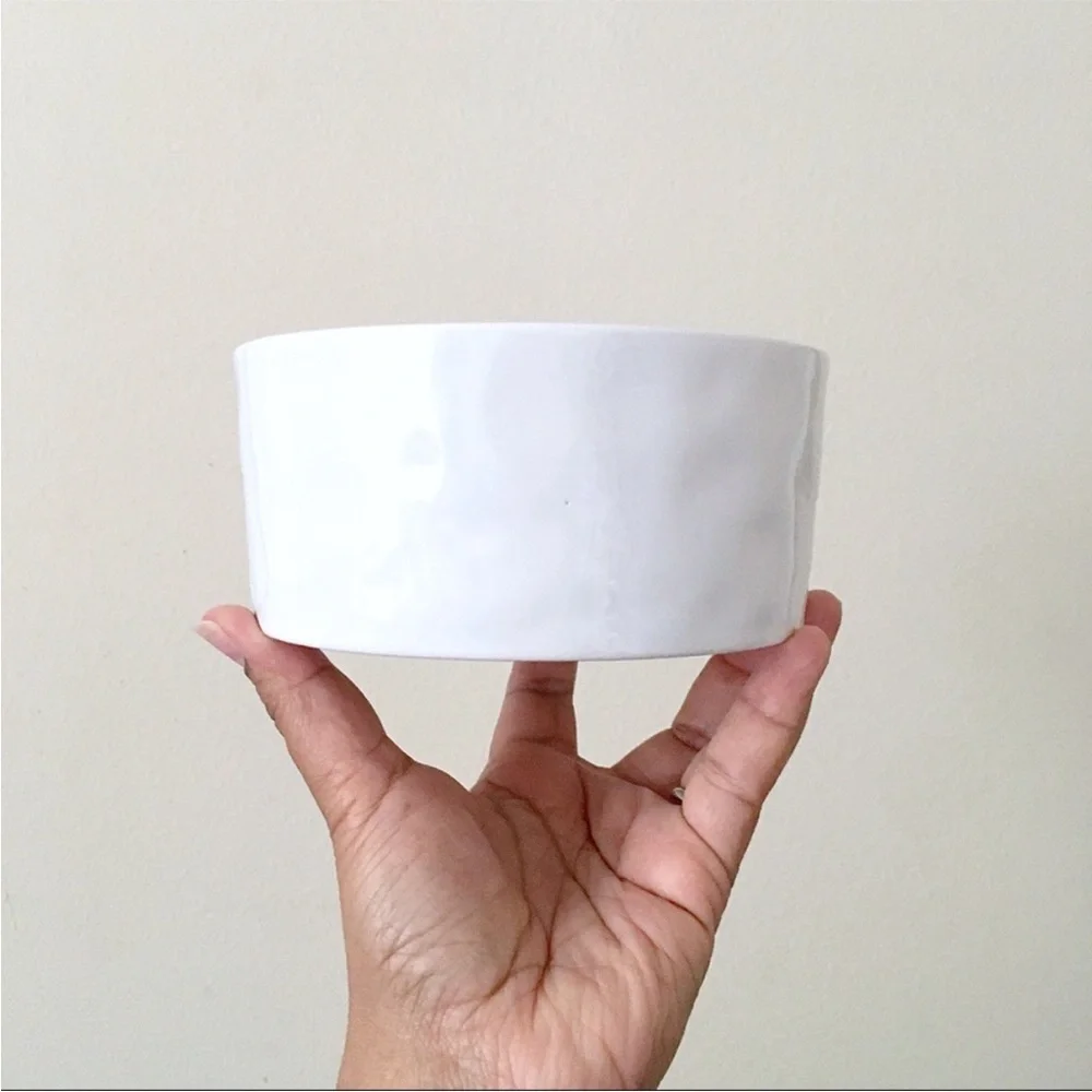 Rae Dunn Ceramic SAVOR Pet Bowl