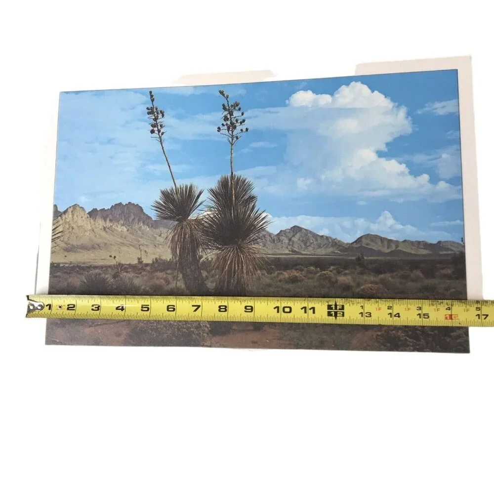 Set Of 6 Vintage “This Is Our Country” Placemats, Laminated & Washable