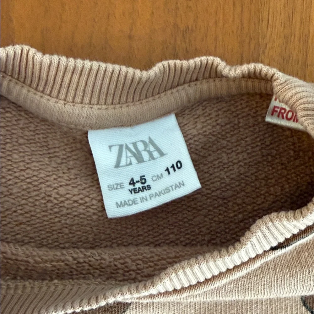 Zara charming sweatshirt