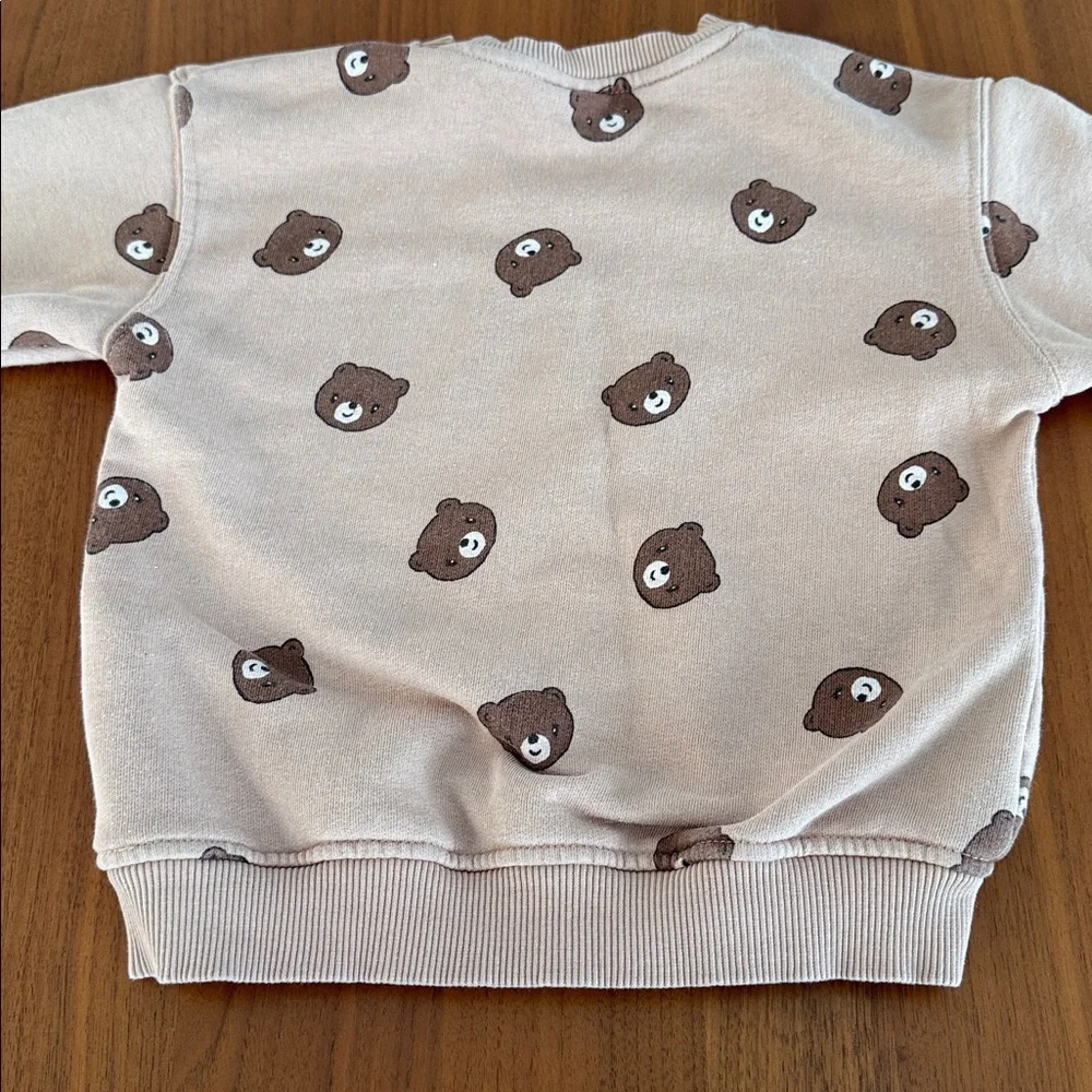 Zara charming sweatshirt
