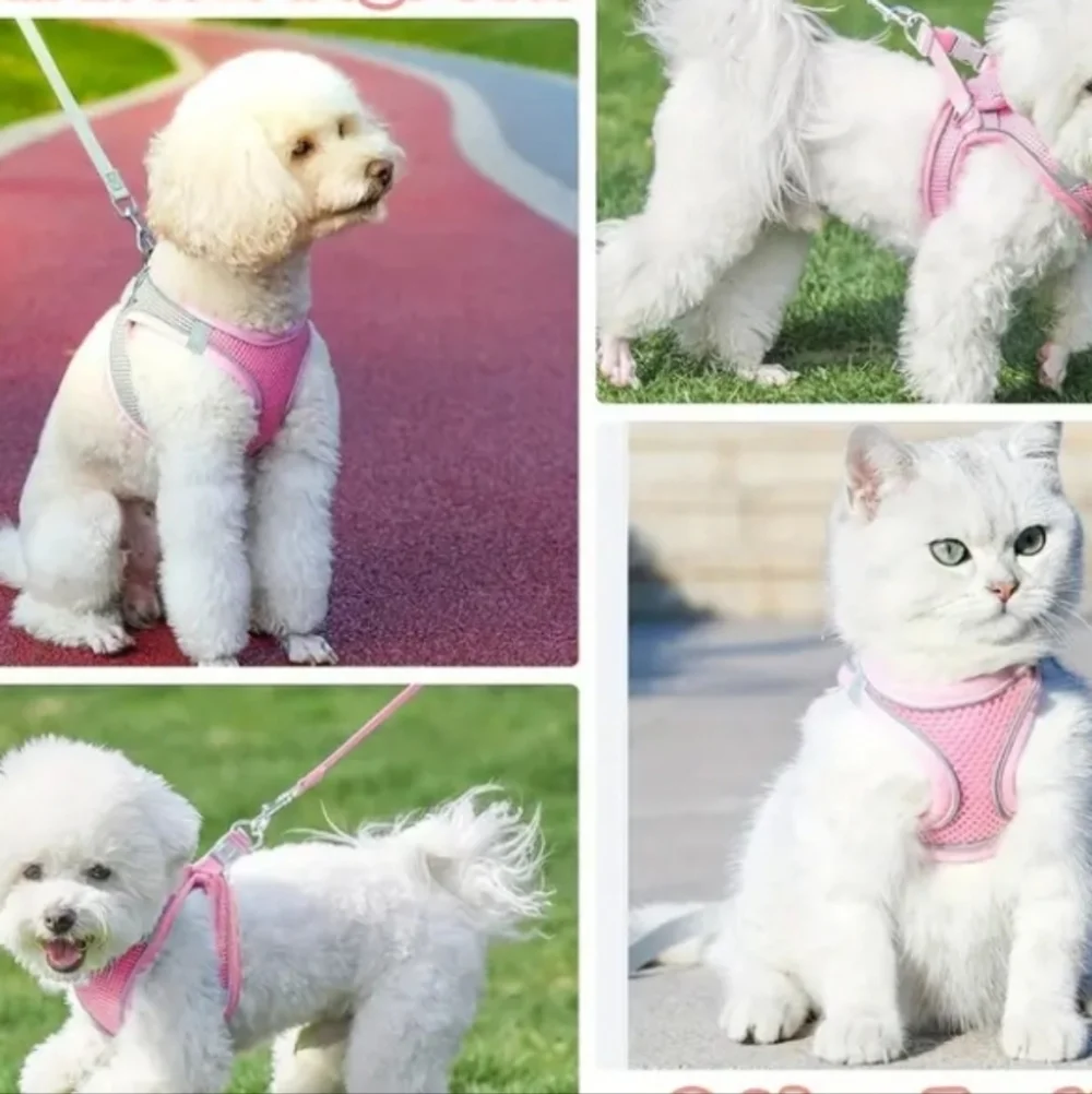 > Colorful Dog Harness