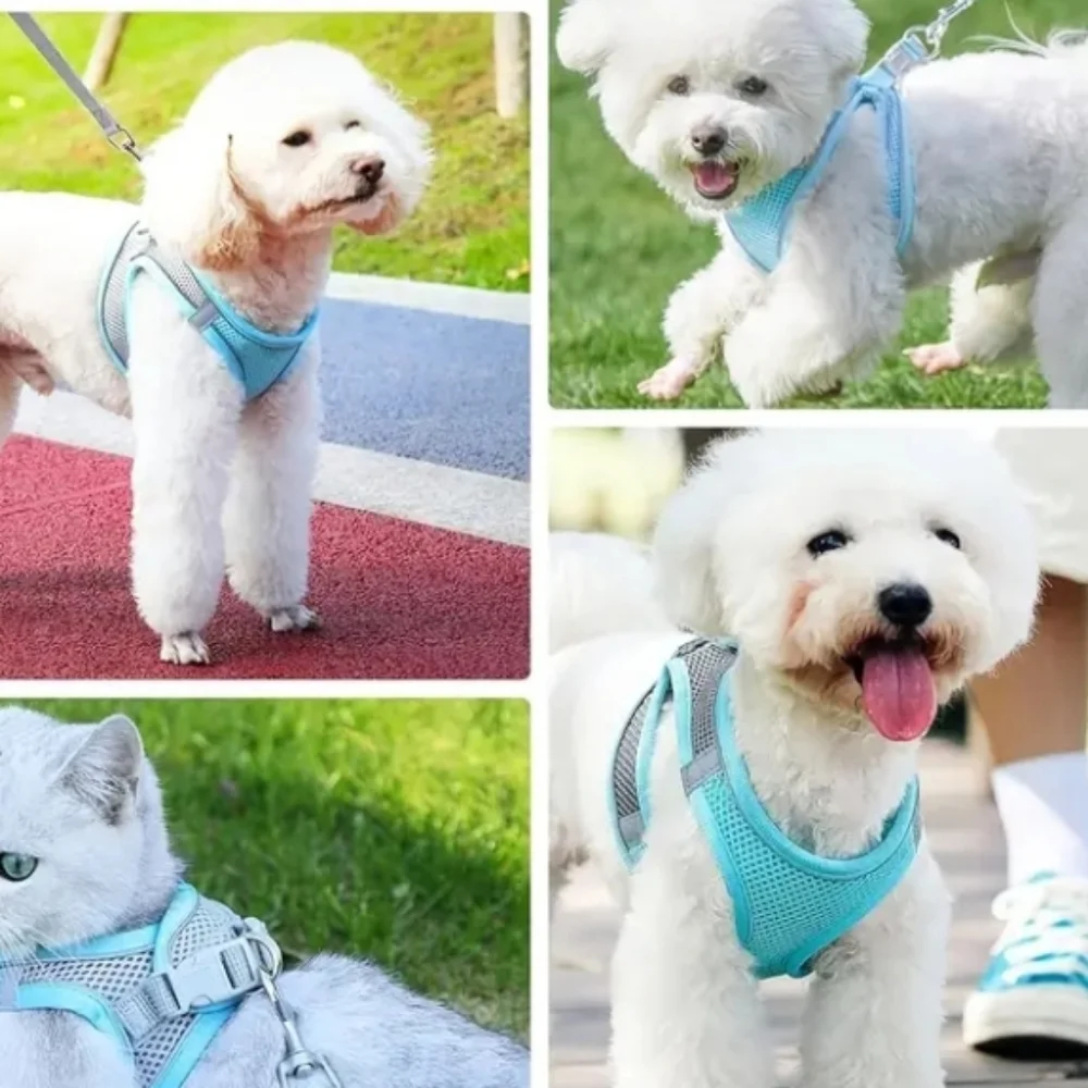 > Colorful Dog Harness