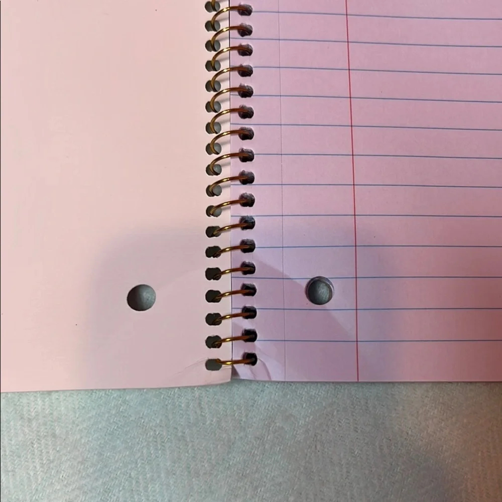 NWT 🐱😻 Cat Spiral Notebook- Back To School