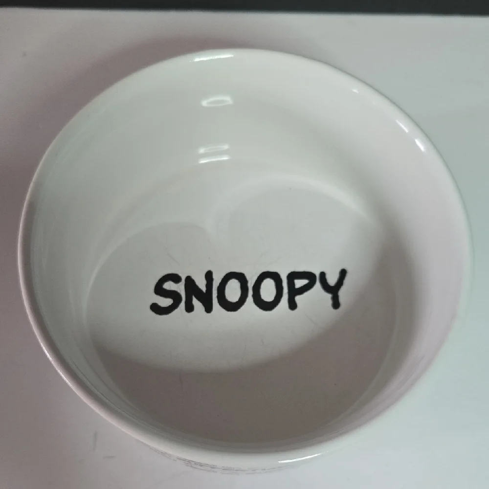 Gibson peanuts snoopy