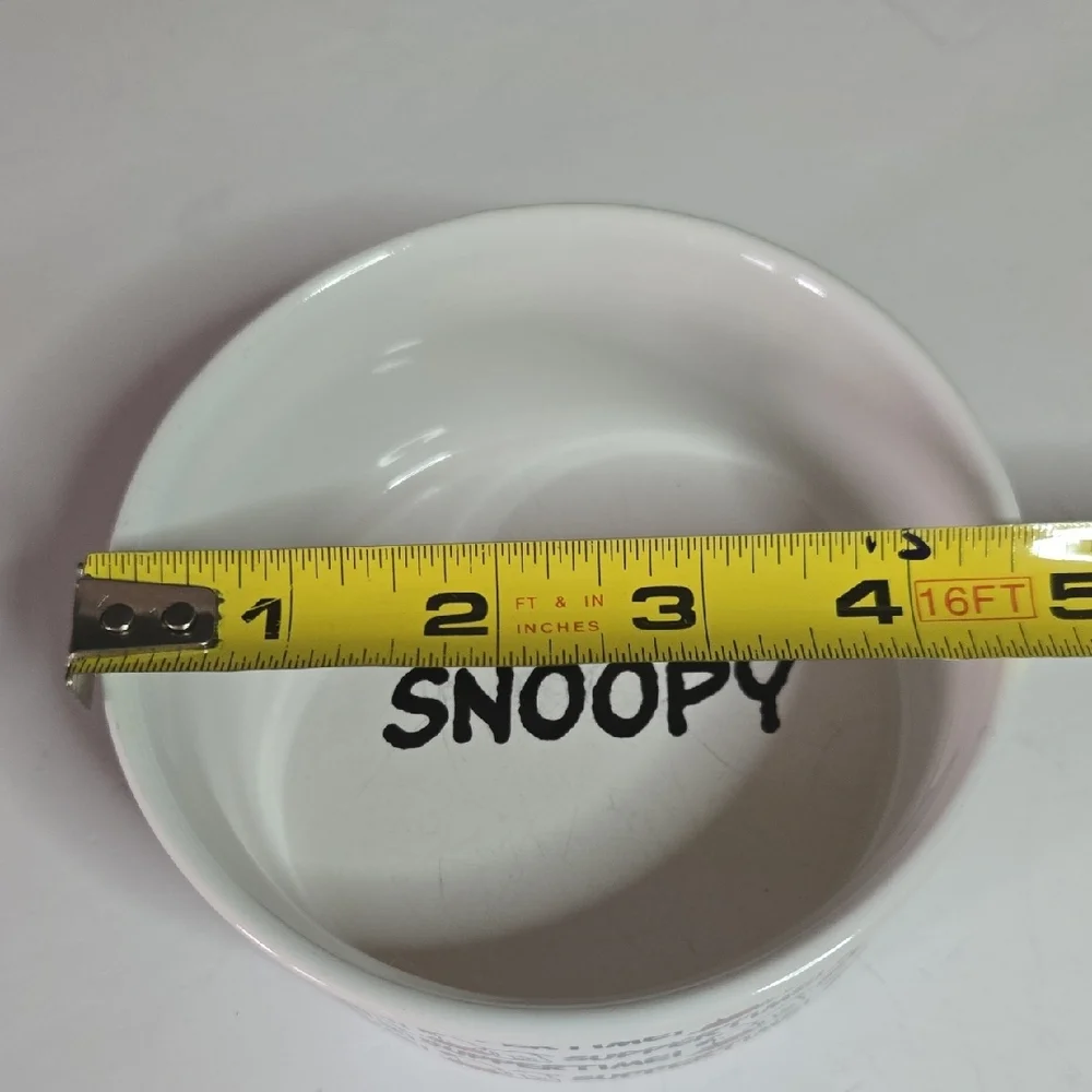 Gibson peanuts snoopy