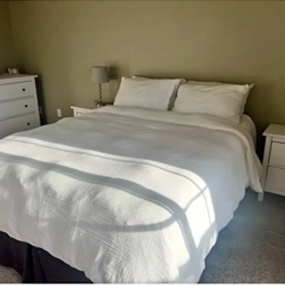 West Elm HydroCool Cooling Down Alternative Duvet Insert
