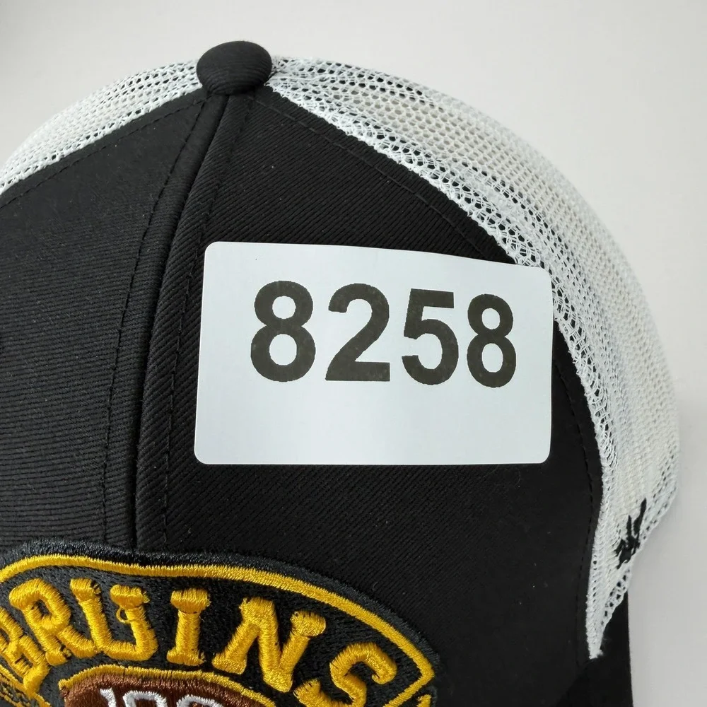 47 boston bruins