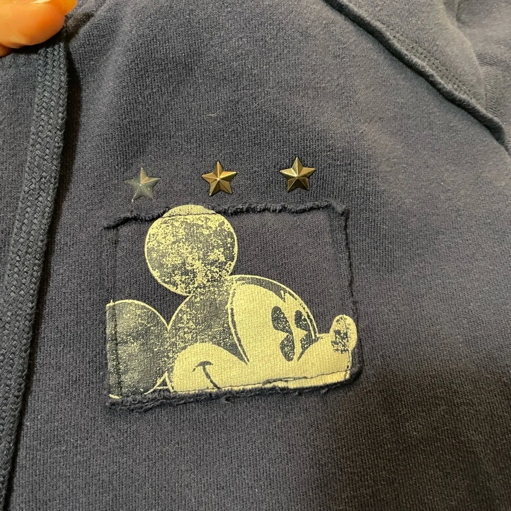 Disney parks authentic