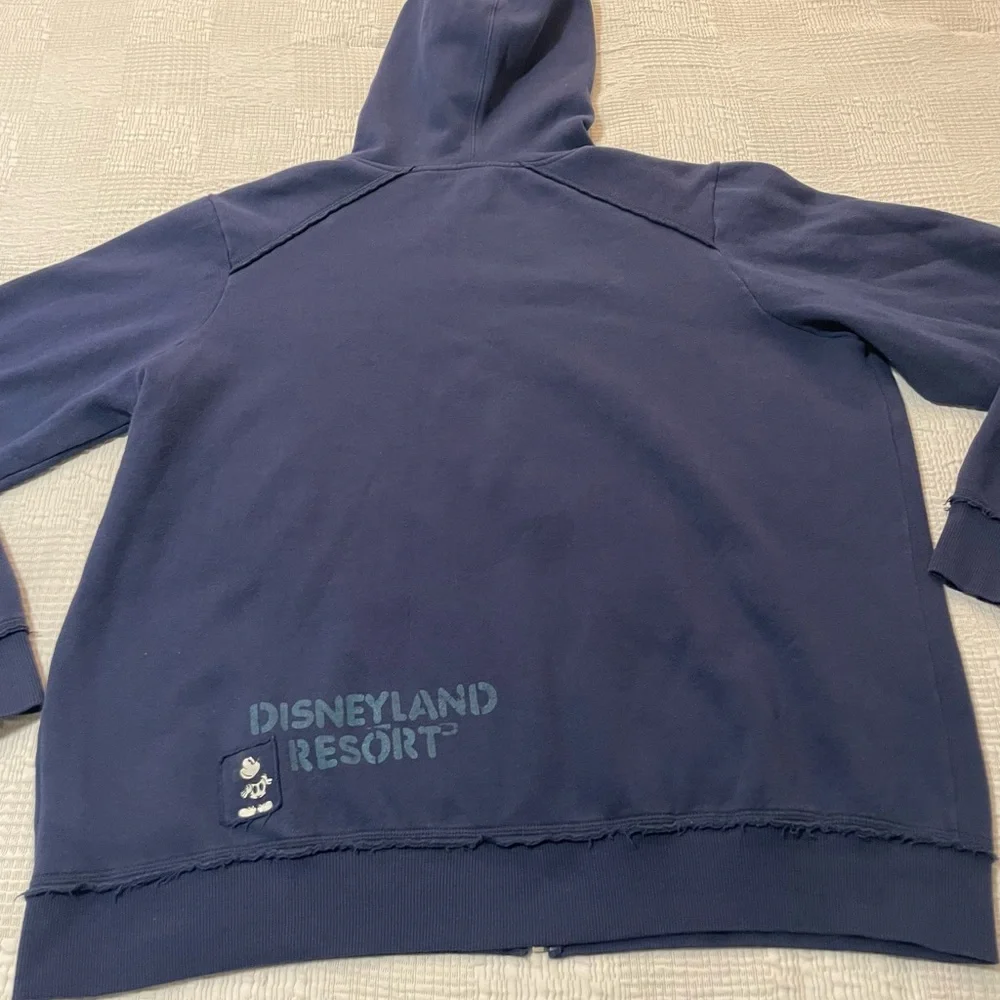 Disney parks authentic