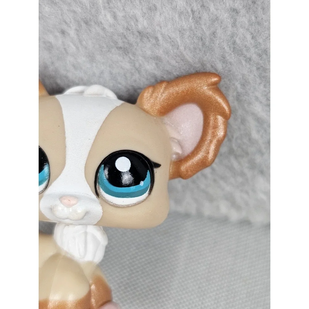 LPS overall detailed pre