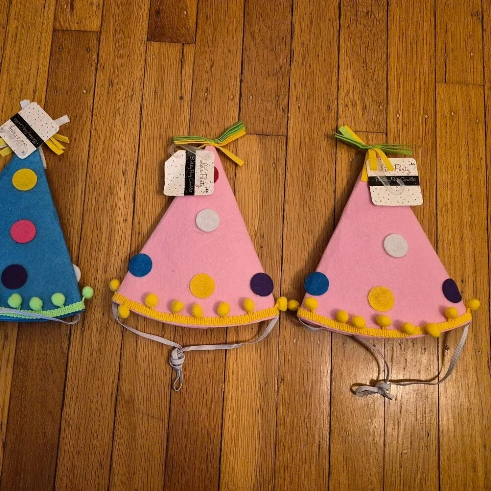 3 NEW Felt Kids Party Hats