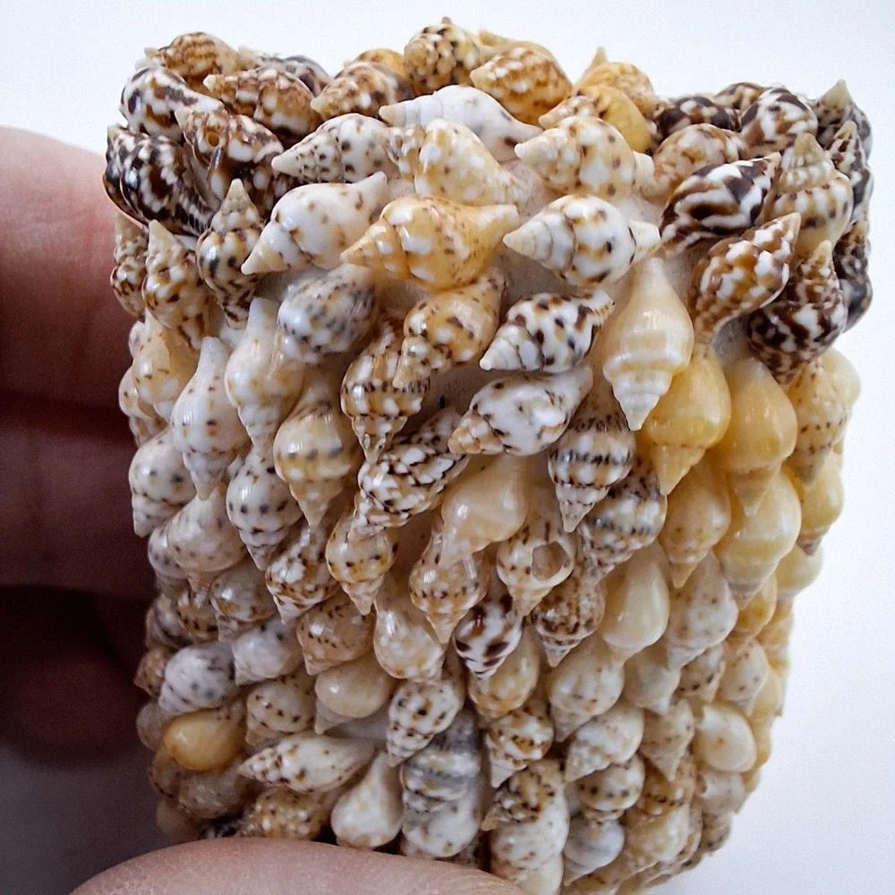 N/A seashell owl