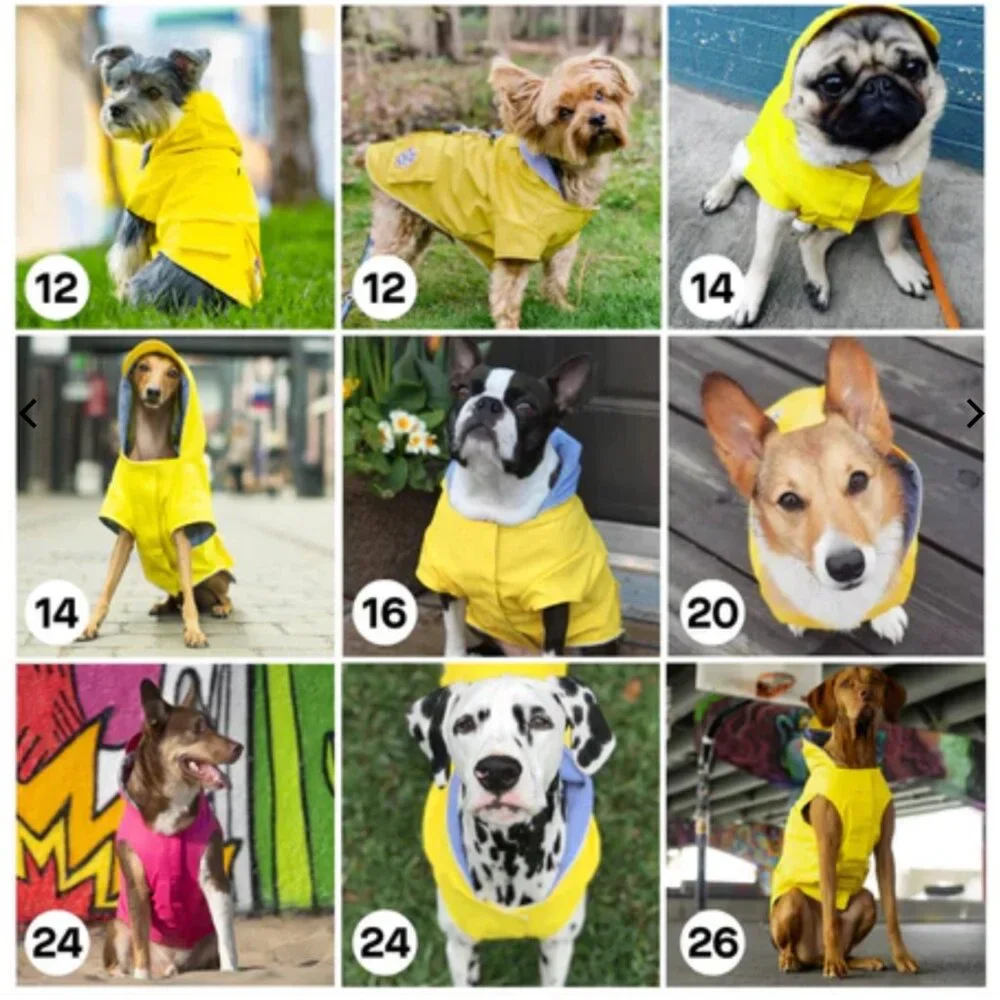 Canada Pooch nwt canada