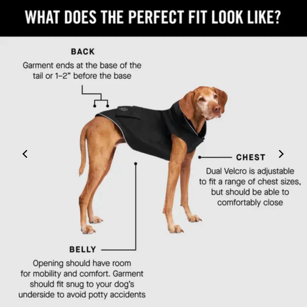 Canada Pooch nwt canada