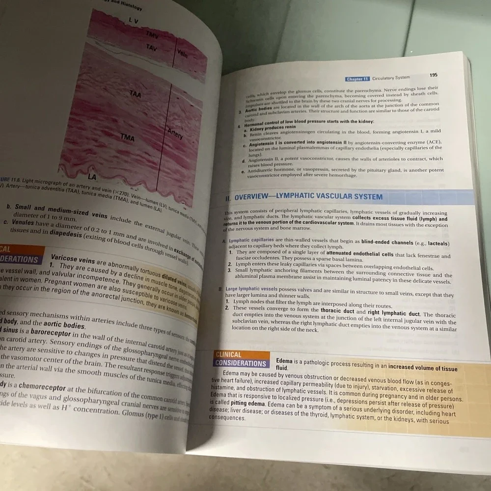BRS Cell Biology and Histology (Board Review Series) - Paperback - GOOD
