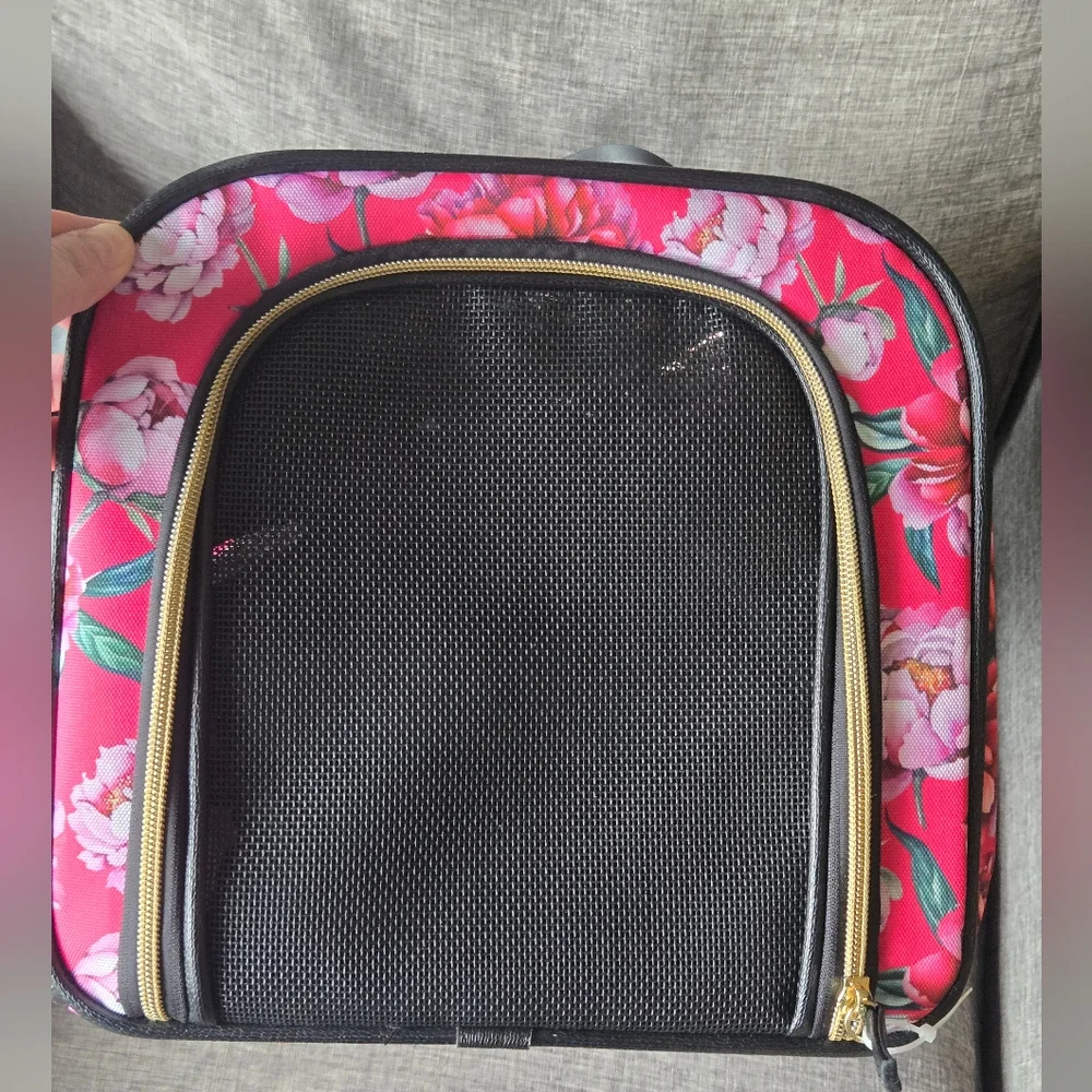 Betsey Johnson dogs cats