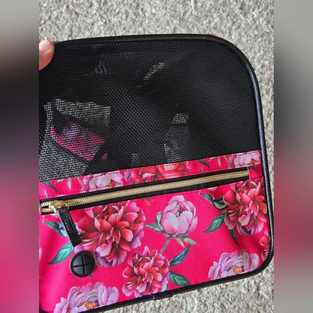 Betsey Johnson dogs cats