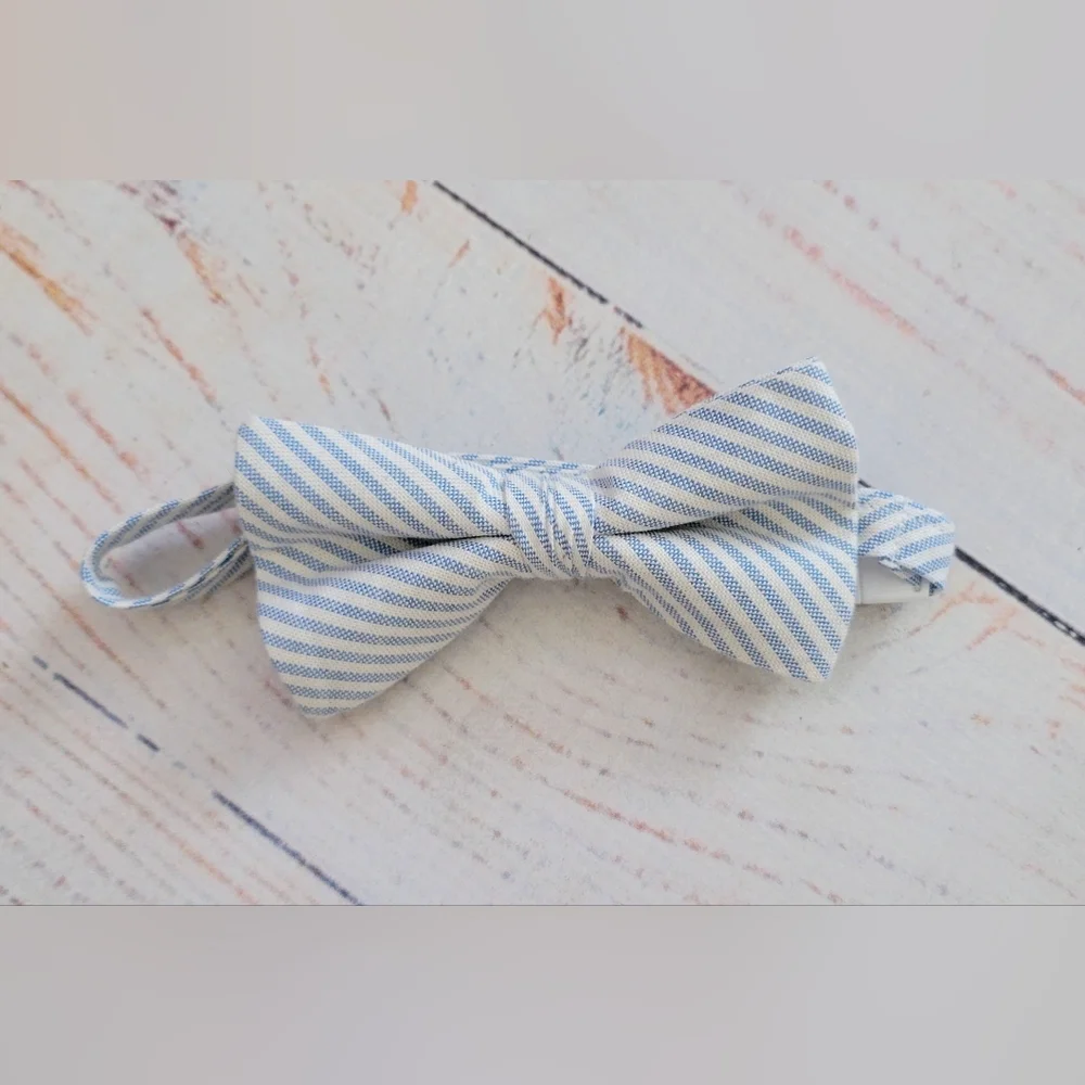 Trendy Ties Light Blue Stripe Kids Bow Tie