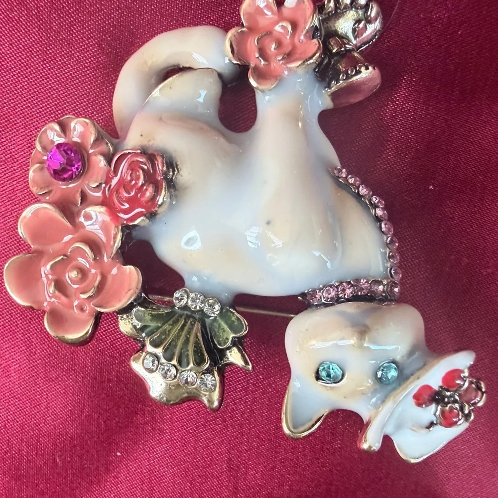 N/A who brooch