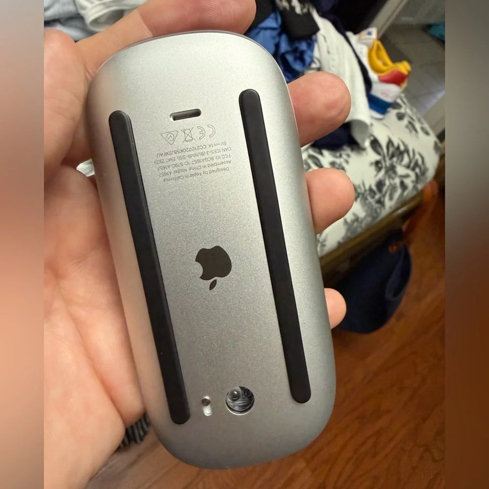 Apple wireless mouse. Slightly used. Did not like.