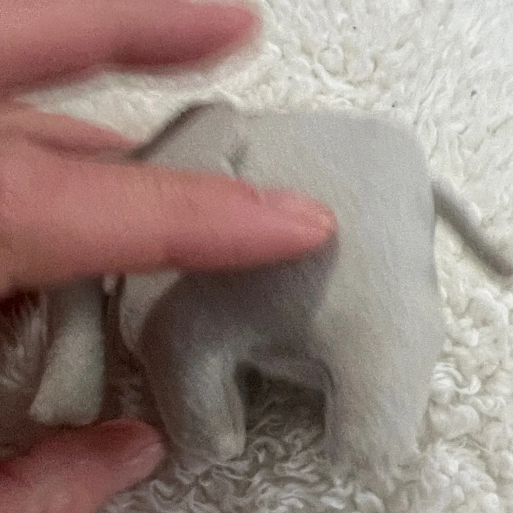 Animal Adventure finger ***tags cat