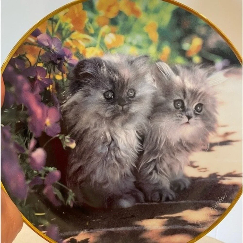 N/A vintage collectible