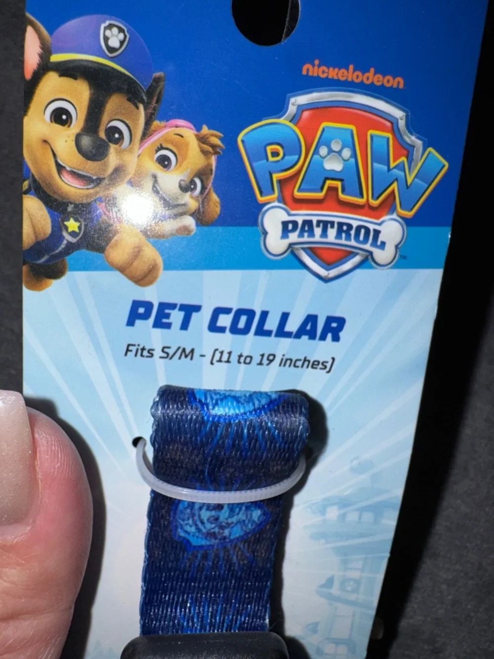 Paw Patrol -NWT Chase Blue Dog Collar,Bowl Placement & Silicone Collapsible Bowl