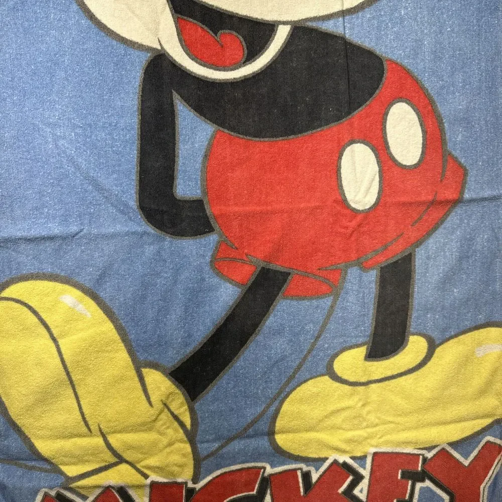 Disney fan brazil