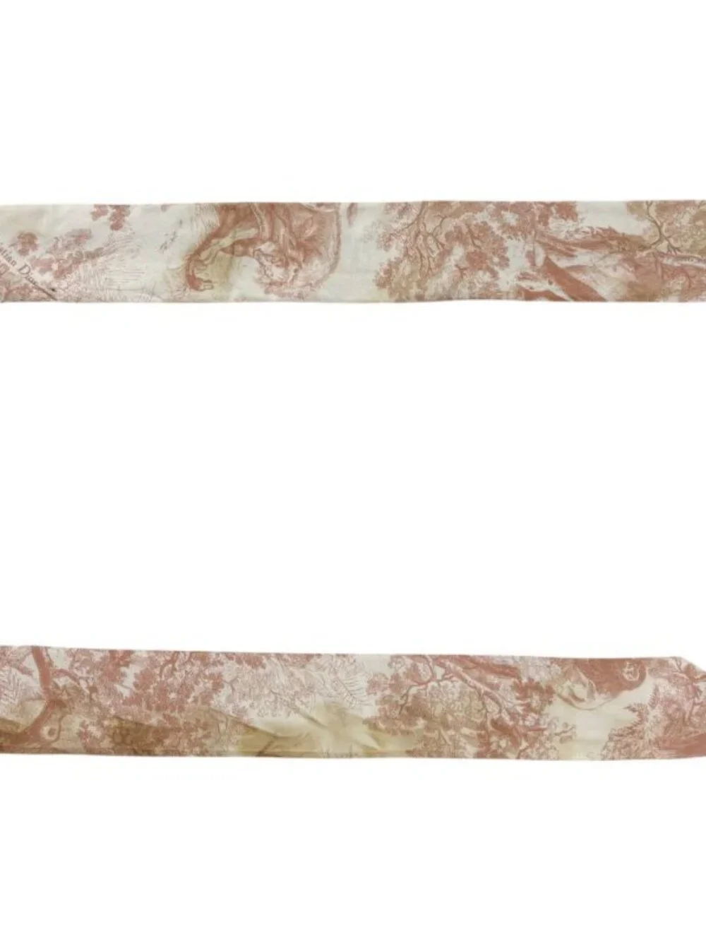 Dior Mizza Toile de Jouy Sauvage Scarf