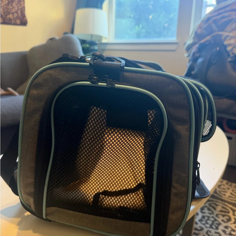Gray and Light Blue Pet travelBag