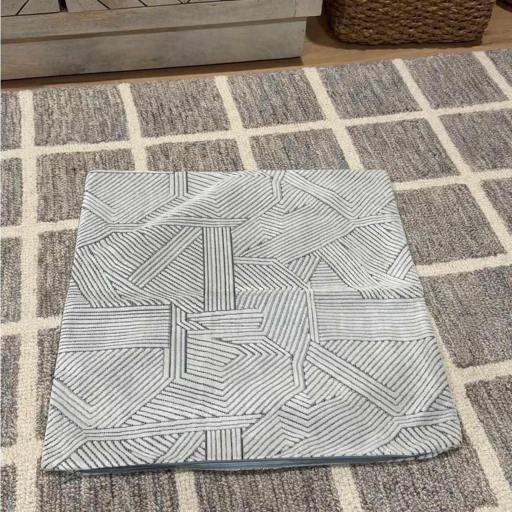 West Elm Cream and Light Gray Chevron Zip Pillow Cover