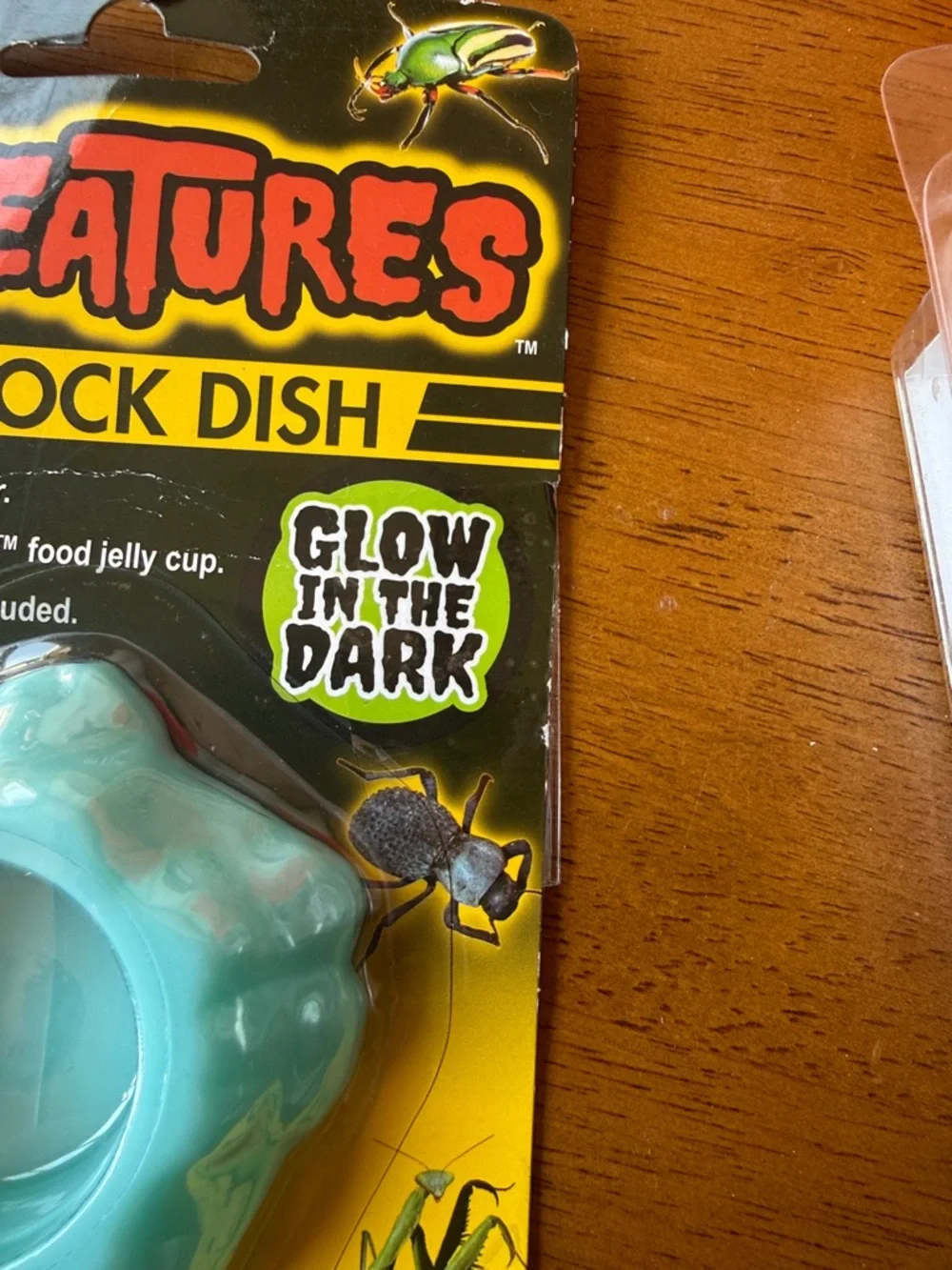 Glow-in-the-Dark Rock Dish – Blue