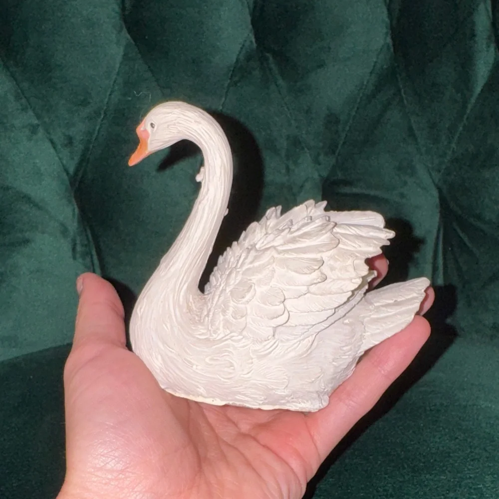 N/A delicate swan
