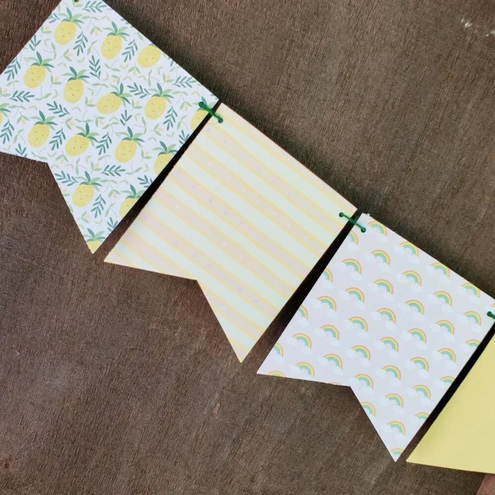 Pineapple Rainbow Party Set