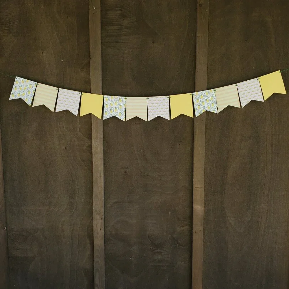 Pineapple Rainbow Party Set