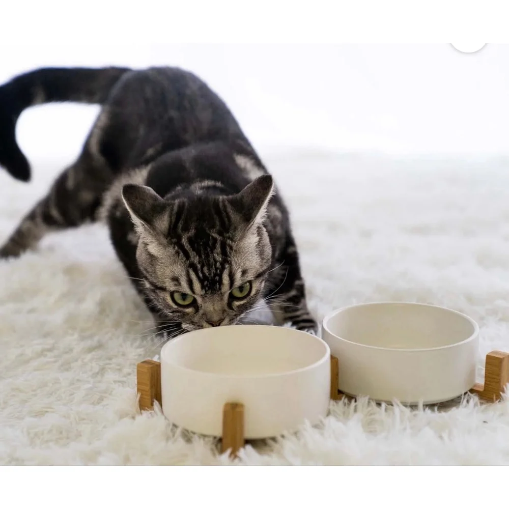 NEW Ceramic Dog Cat Bowl Set Wooden Stand Non-Slip Matte 13.5Oz