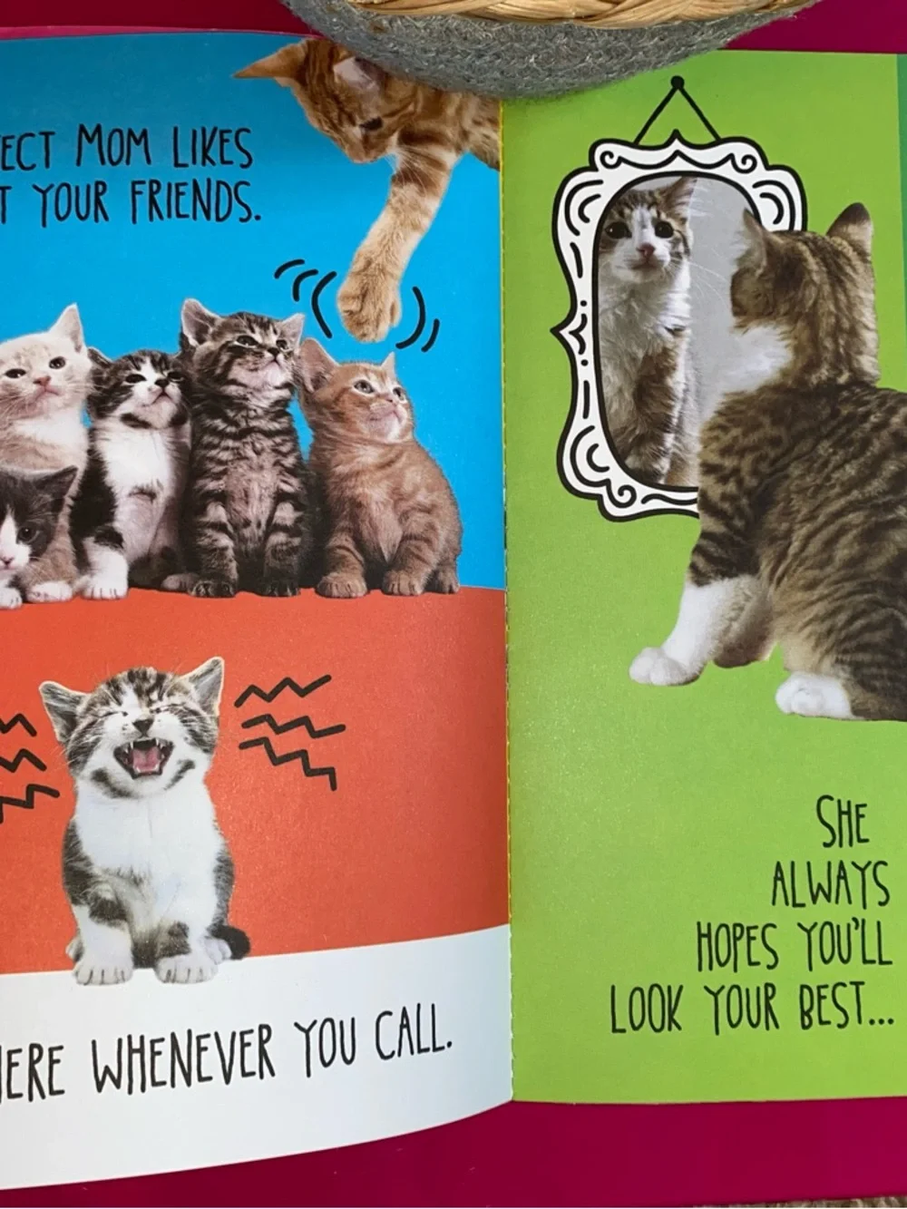 N/A purr fect