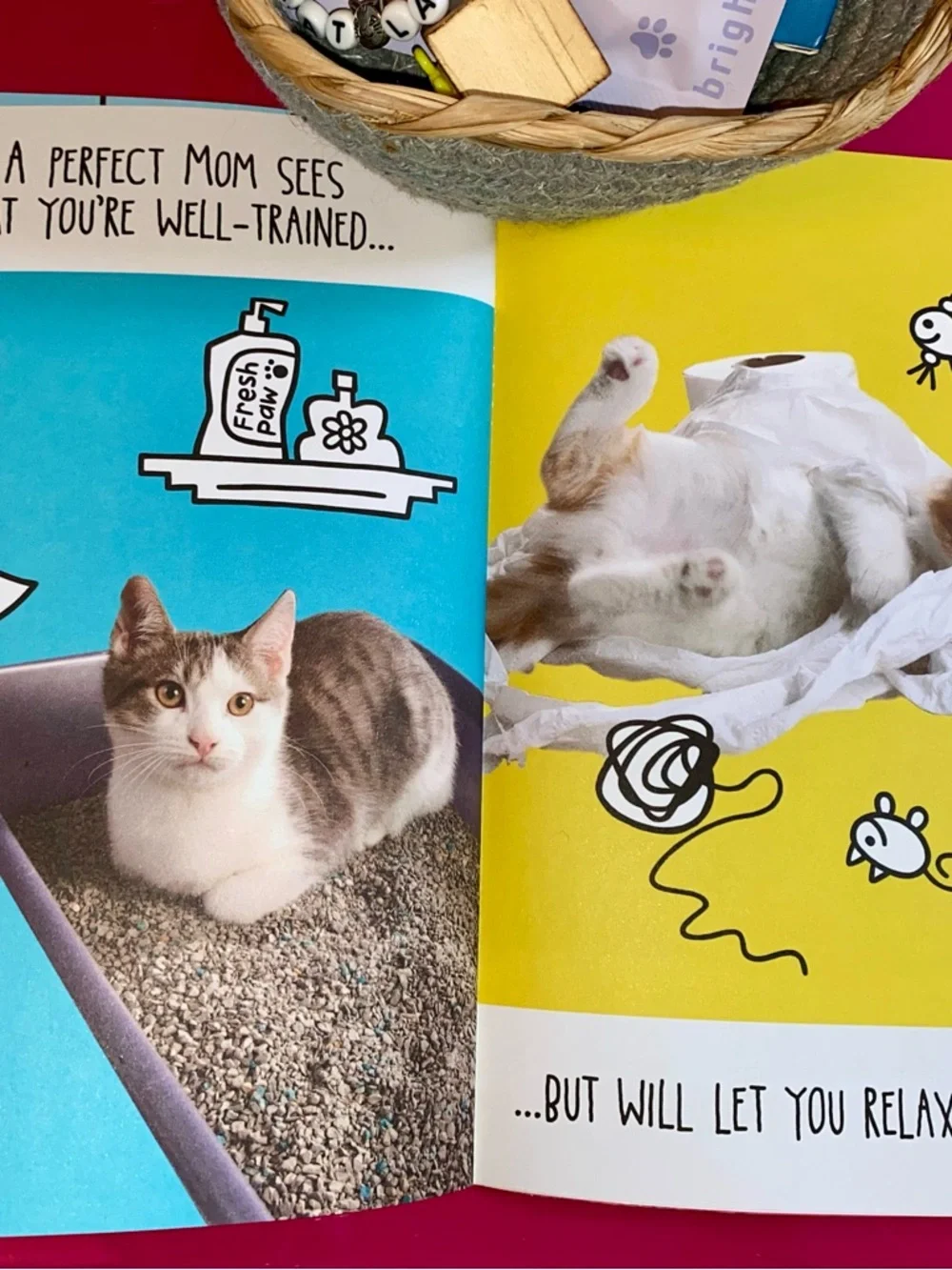 N/A purr fect