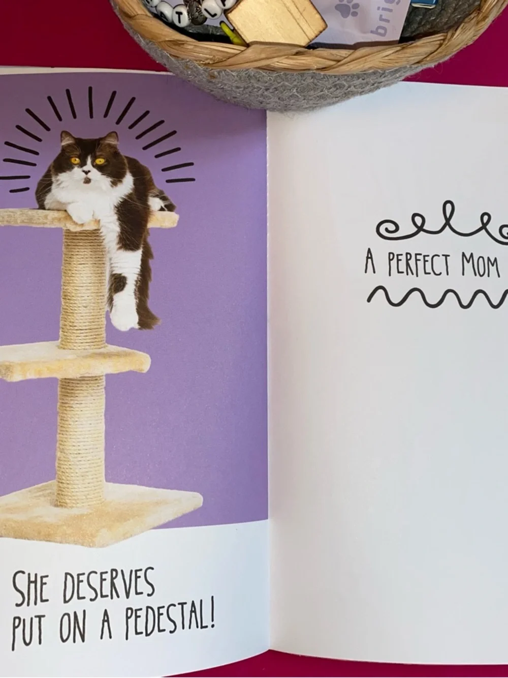 N/A purr fect