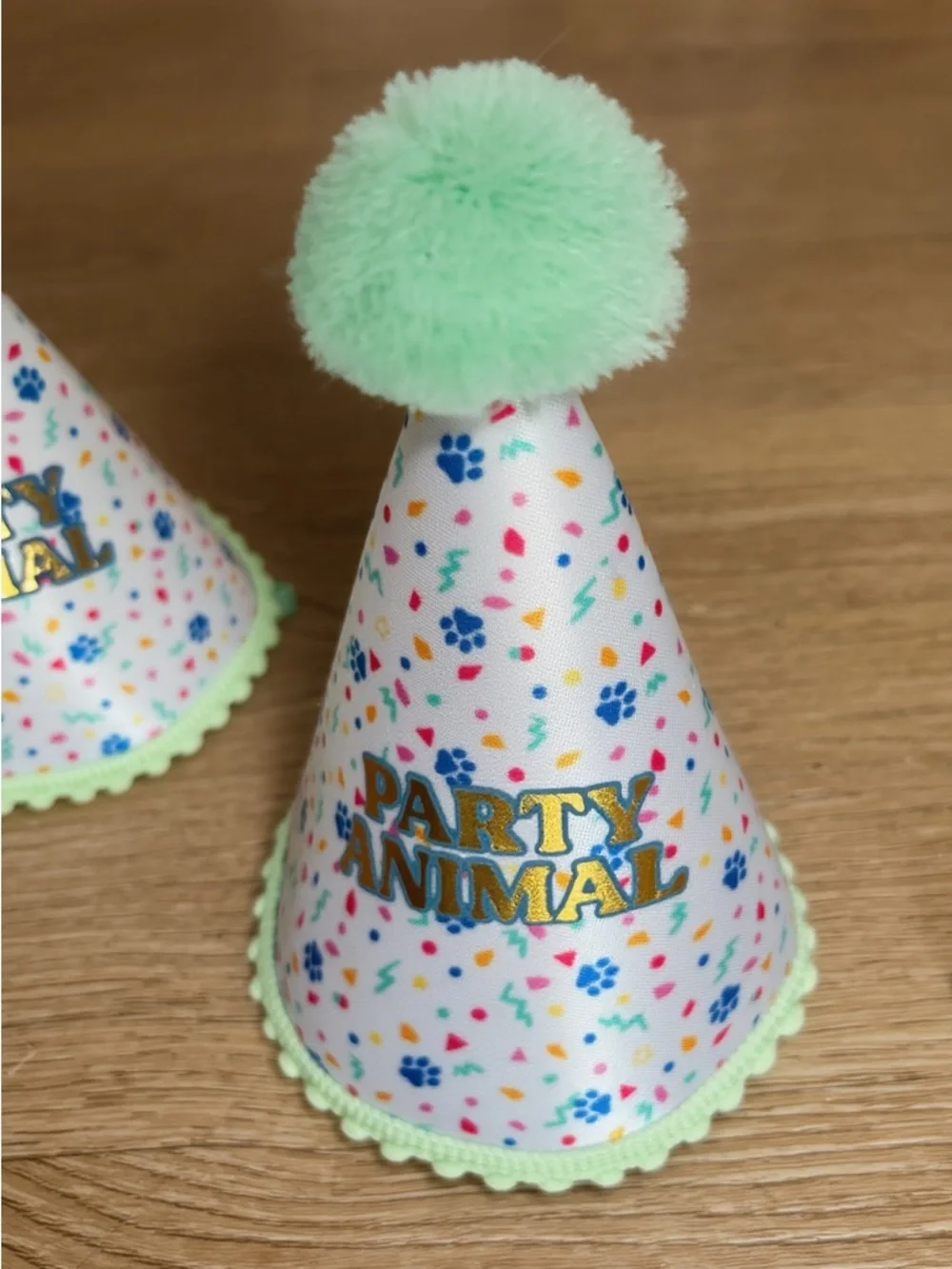 Dog Party Animal Birthday Hat - Mint Pom Pom