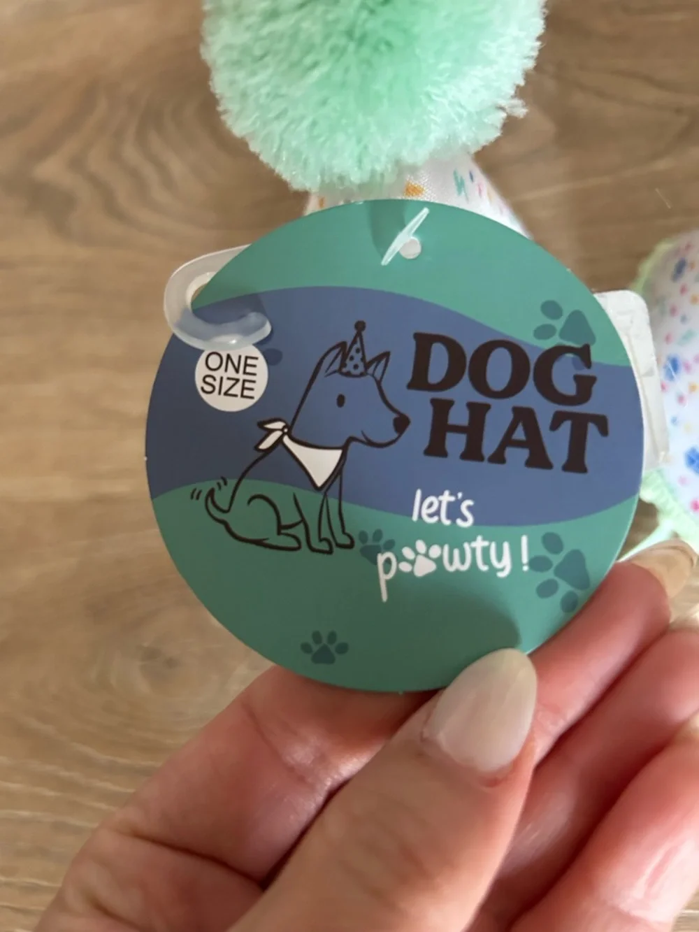 Dog Party Animal Birthday Hat - Mint Pom Pom