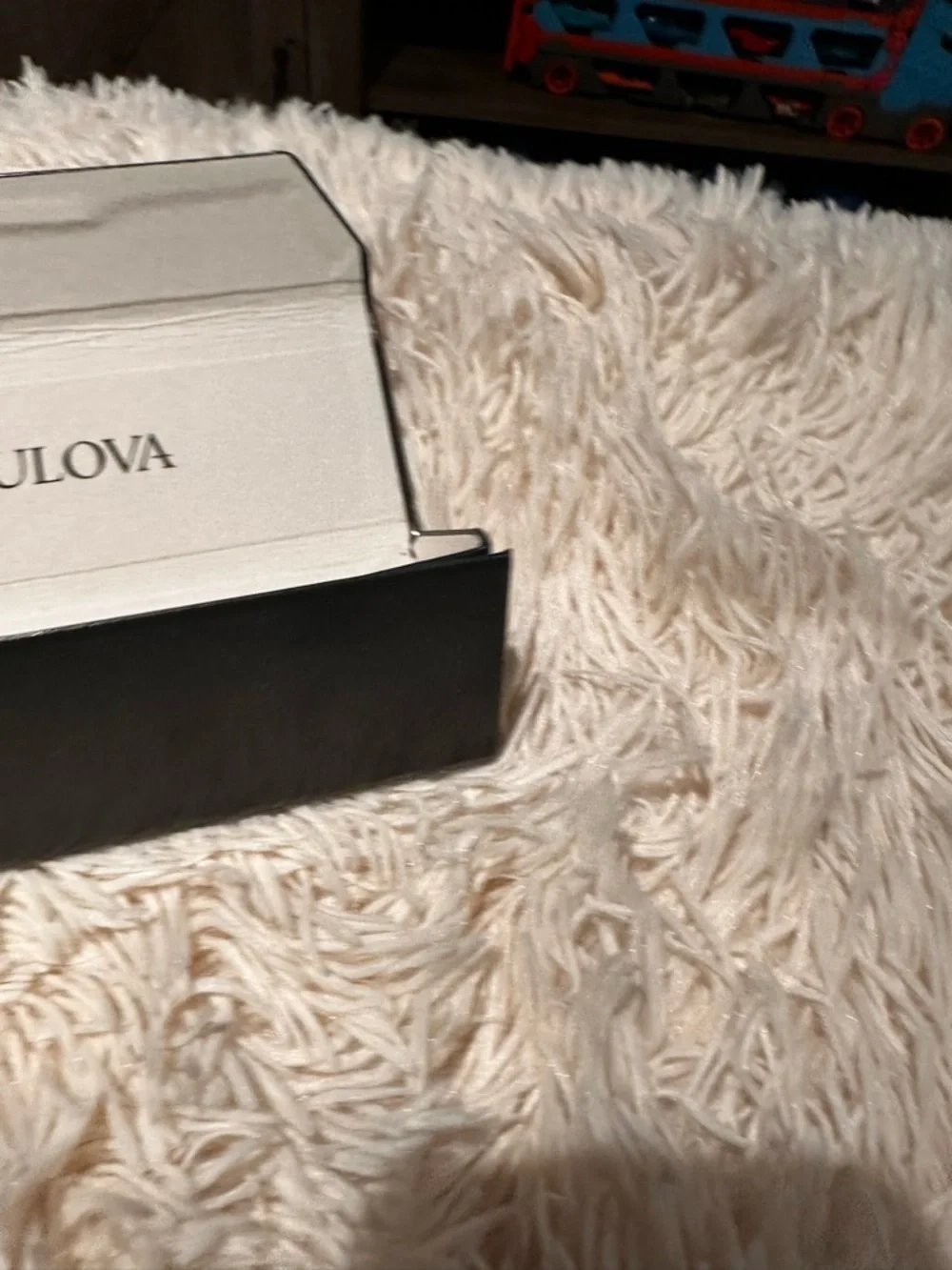 Bulova black protective