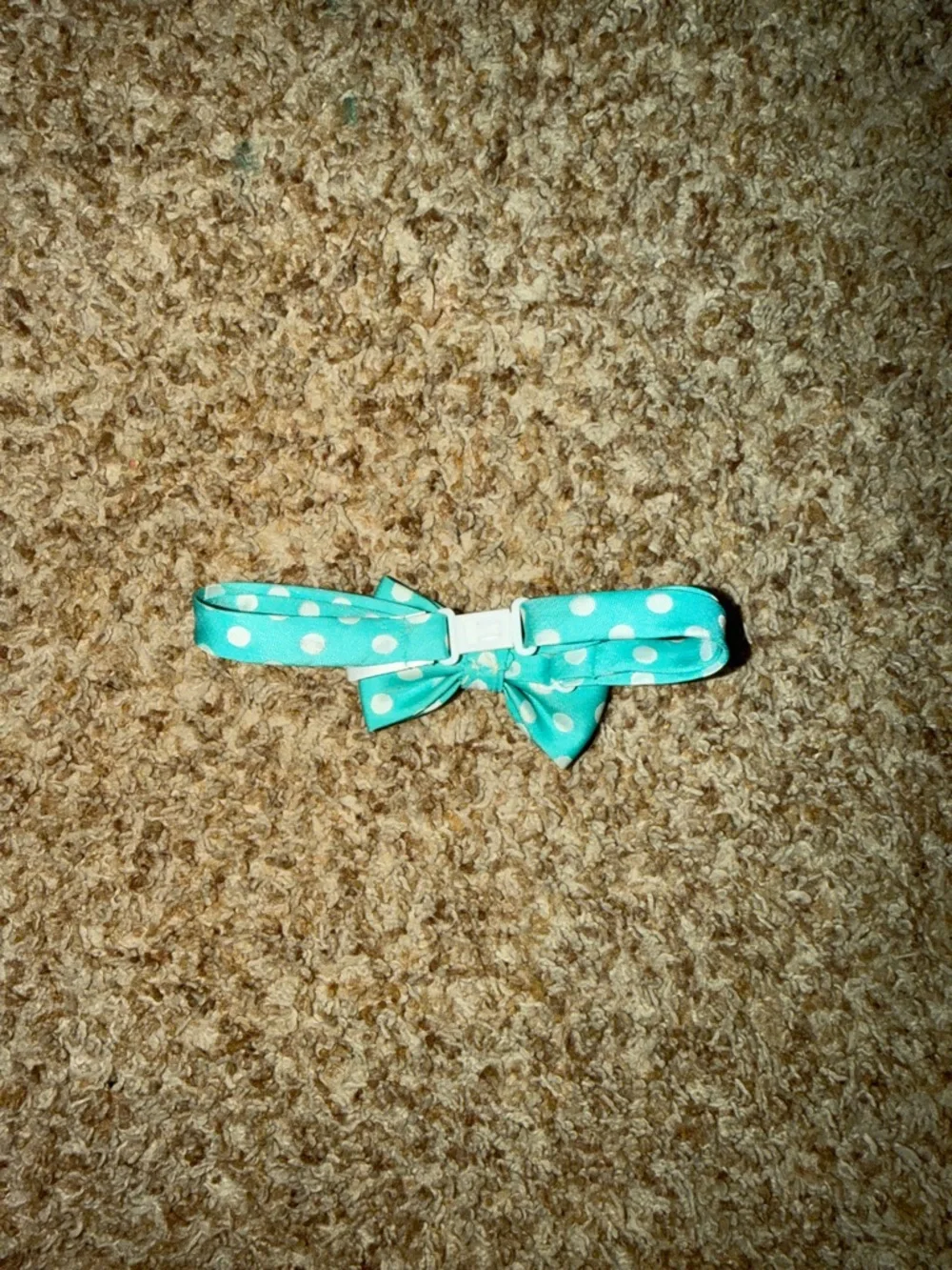 teal polka dot bow tie